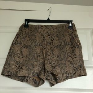Zara snake print shorts XS